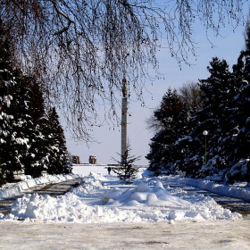 Парка в прегръдката на зимата