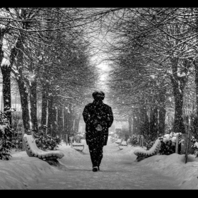 Life can sometimes be as cold as a lonely walk in the snow...