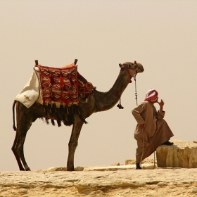 Or the camel or the camel driver, Ia kamilata ia kamilariat