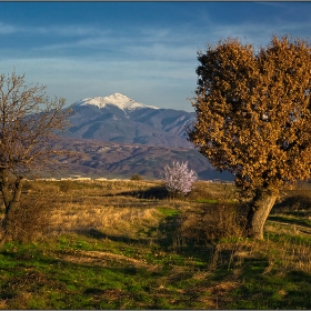 Далечен и самотен