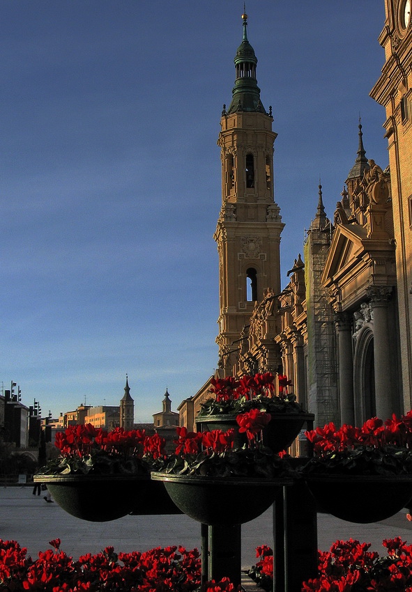 Saragoza