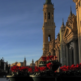 Saragoza