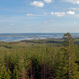 Spring in Sweden