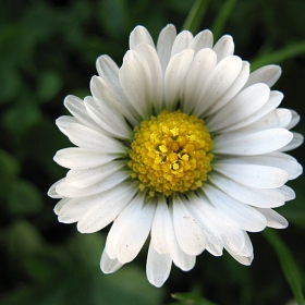 one