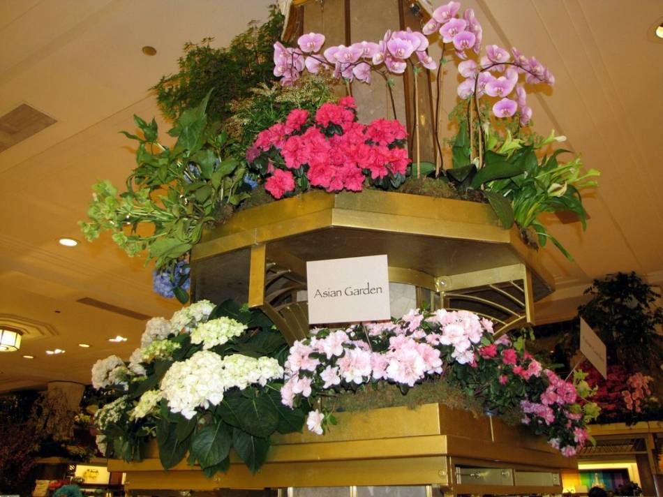 Macy's Flower Show-2