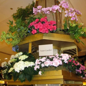 Macy's Flower Show-2