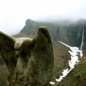 Орел