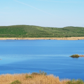 Резерват Сребърна