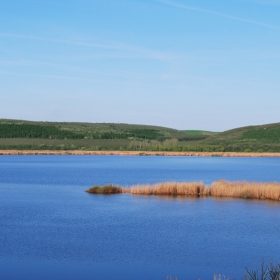 Резерват Сребърна