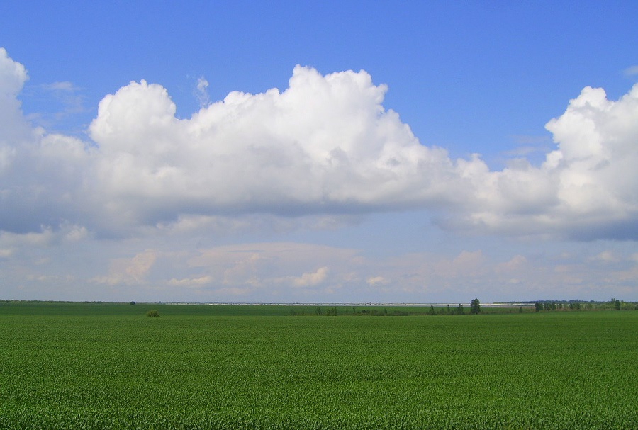 Синьо-Зелено