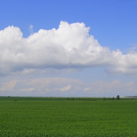 Синьо-Зелено