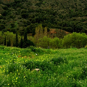 Пасторално  -  Panorama pastoral