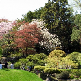 Brooklyn Botanic Garden-2