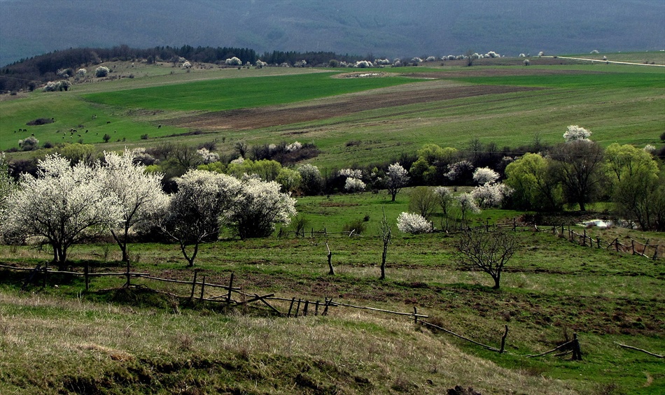 Пейзаж от Жеравна