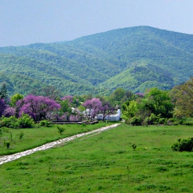 Пътят към златната църква