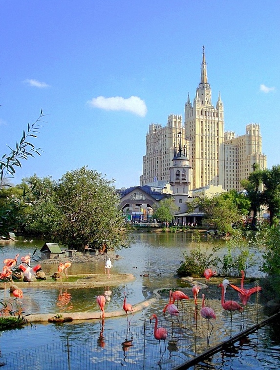 Moscow Zoo