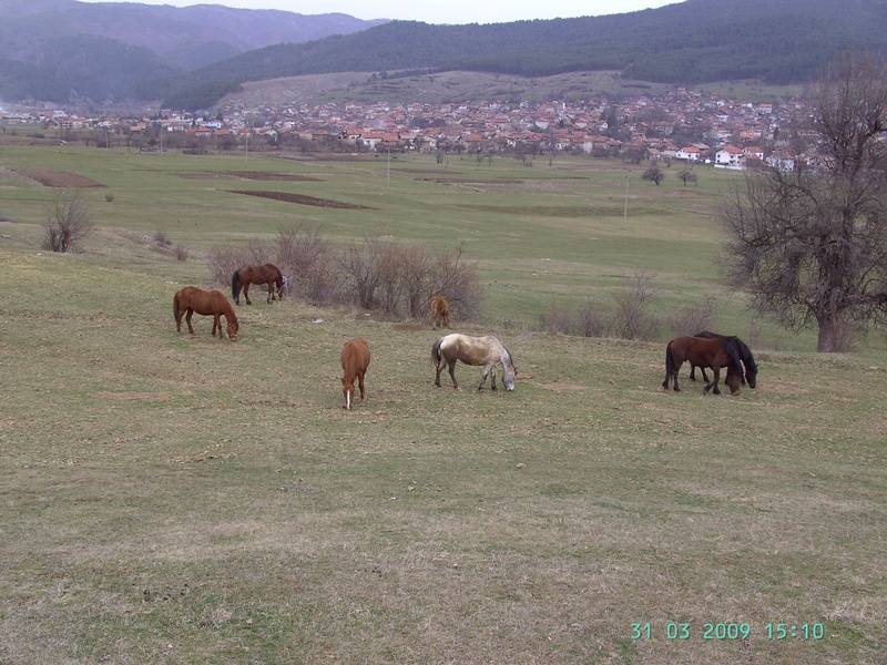 И те чакат с нетърпение пролетта...