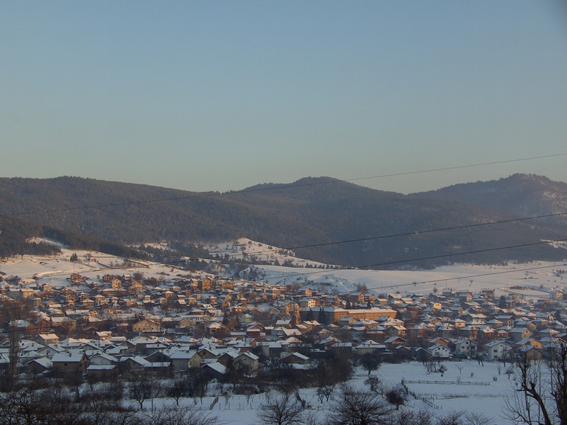Дорково погалено от светлината...