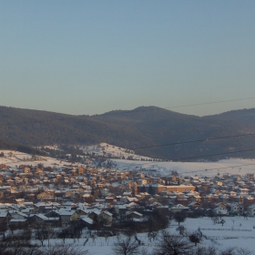 Дорково погалено от светлината...