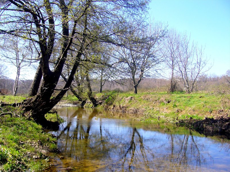Дядо зирковата воденица