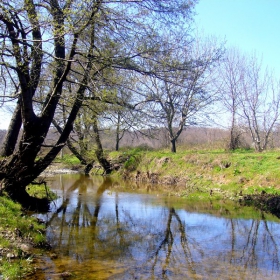Дядо зирковата воденица