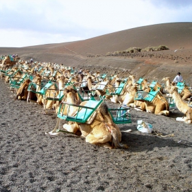 lanzarote