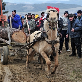 .. когато силите не стигат !!