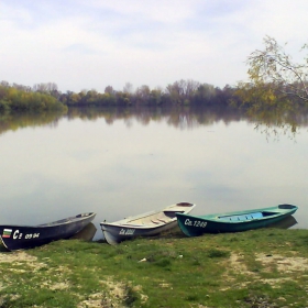 В очакаване