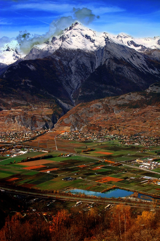 Swiss
