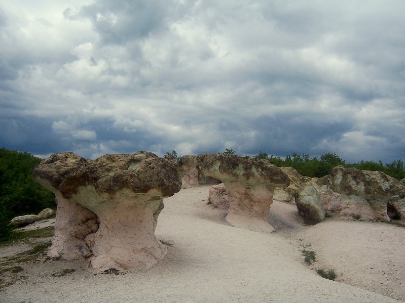 Каменни гъби