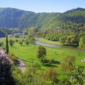 Down by the River