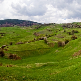 Родопи - 02.05.2009