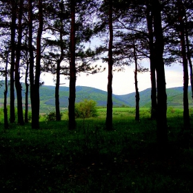 Борова гора, с. Драгоево