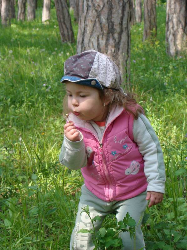 за глухарчето