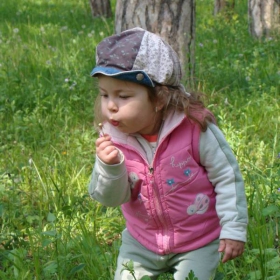 за глухарчето