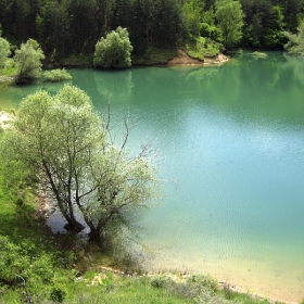 Зелено