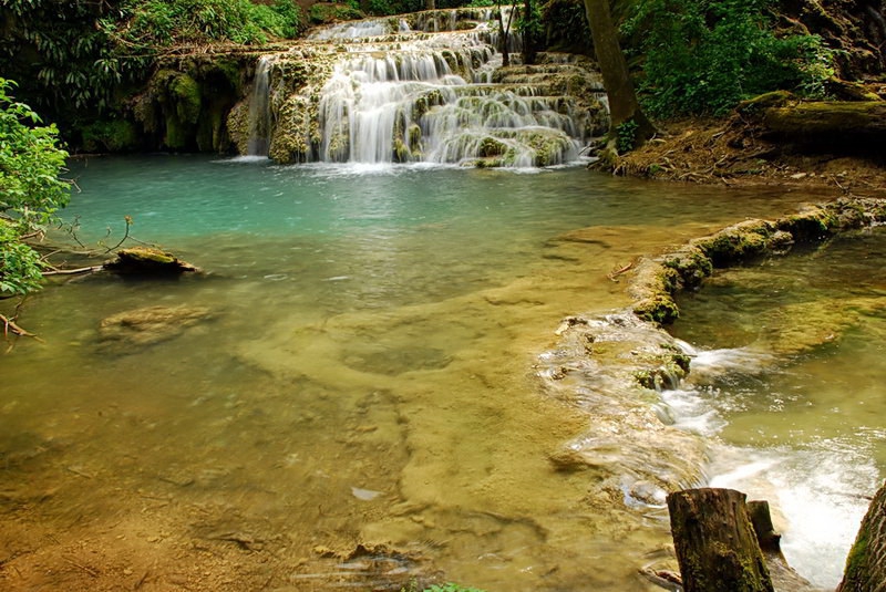 Вирче край гората