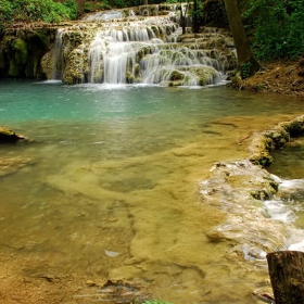 Вирче край гората