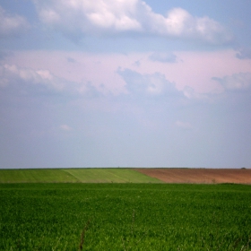 Полета
