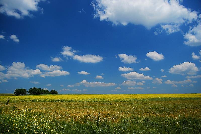 свежо