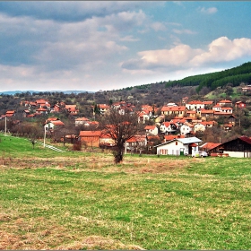 Село Злогош