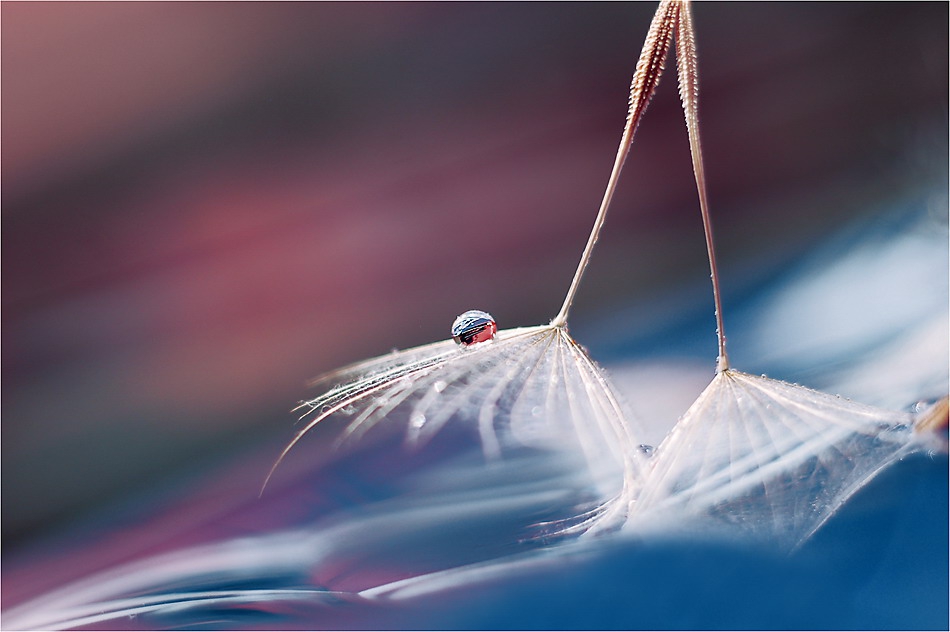 ..~Prism of Life~..