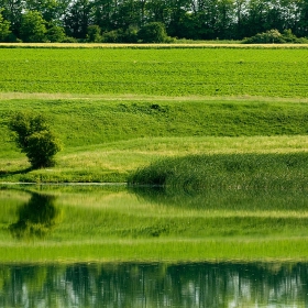 Край село Бохот