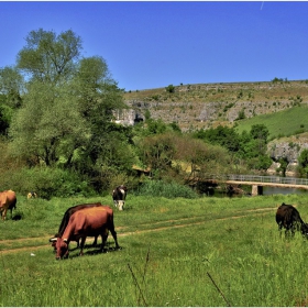 Край р.Златна Панега