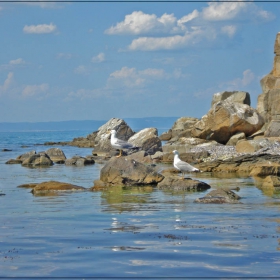 Sozopol***