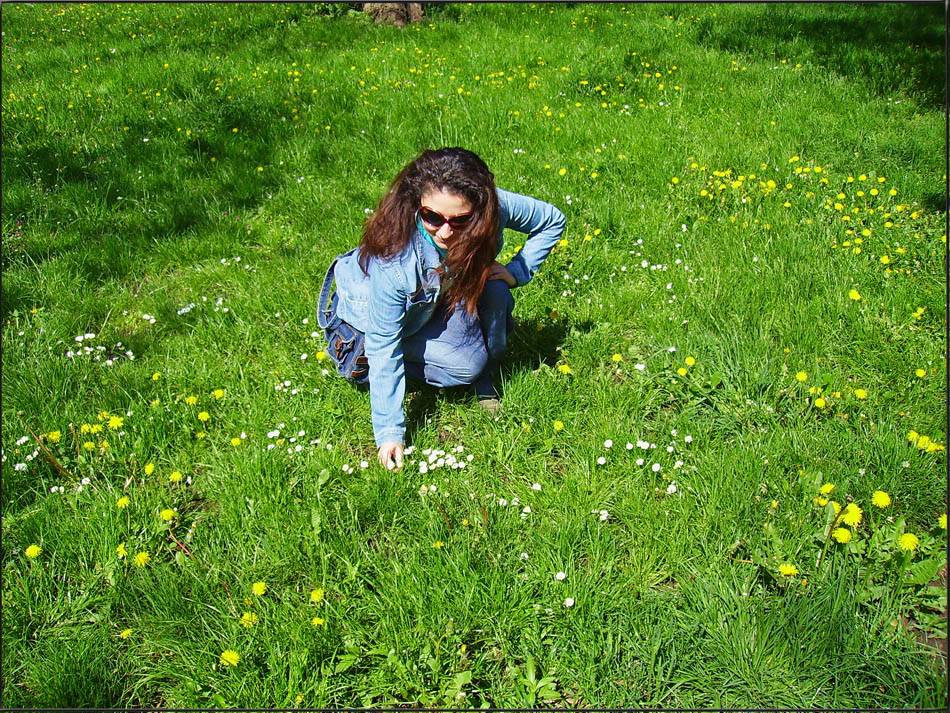 spring