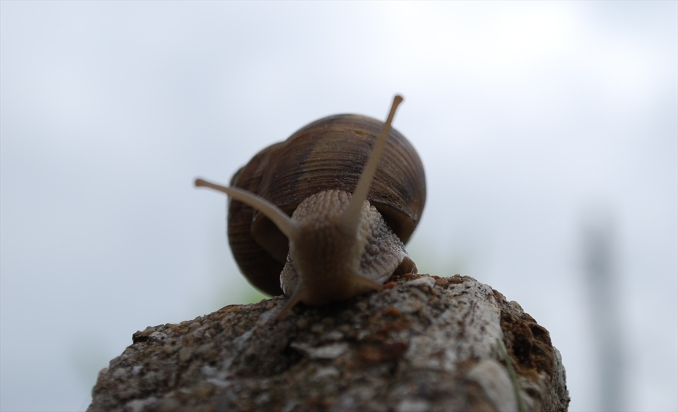 Hallo!