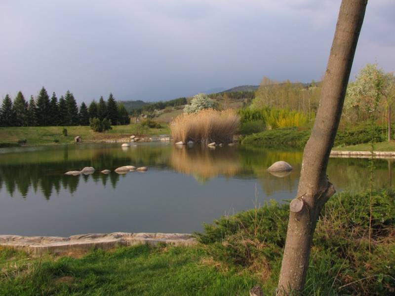 ezerce