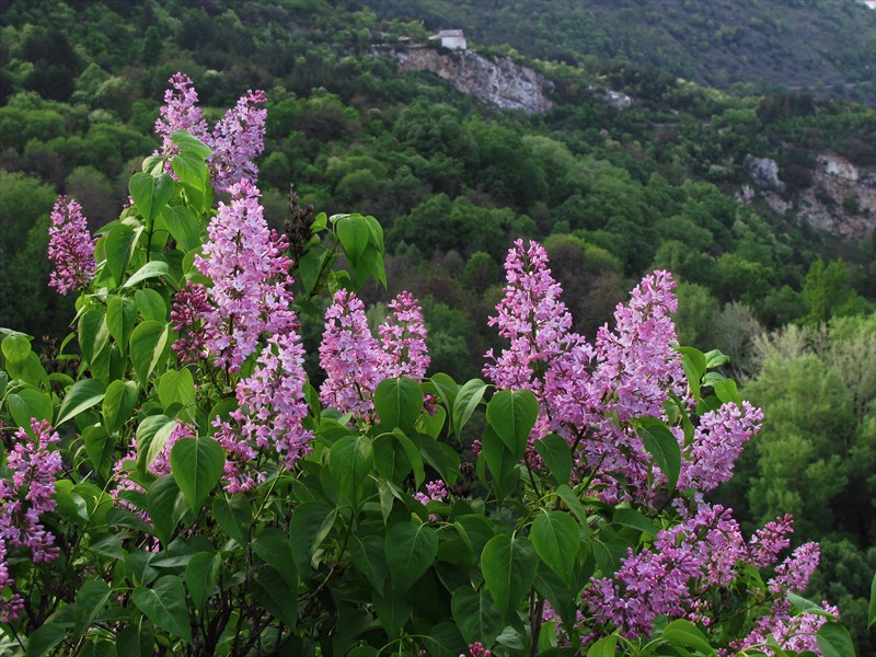 пролет