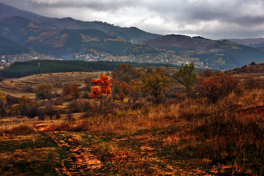 Кладница